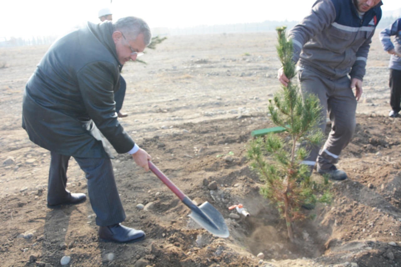 Azerbaijan’s Azeraluminium holds tree planting campaign in memory of national leader Heydar Aliyev [PHOTO] - Gallery Image
