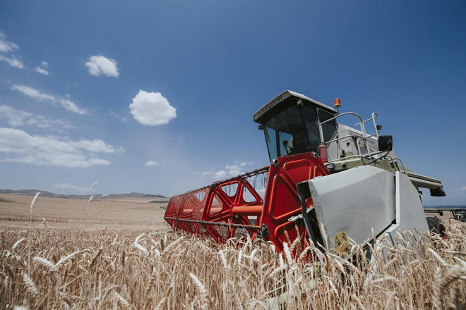 Official: Agriculture reforms developing Azerbaijan’s business environment [PHOTO]