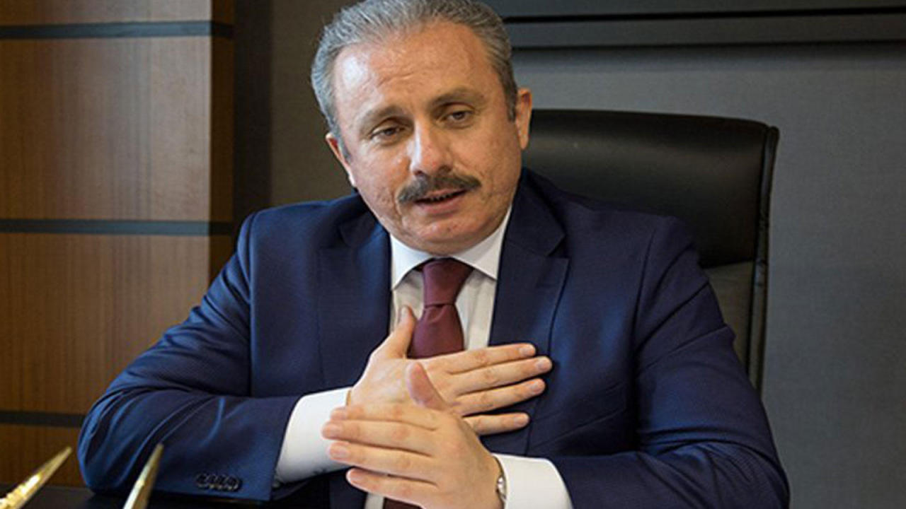Chairman of Turkish Parliament hails Azerbaijan's support for Turkey