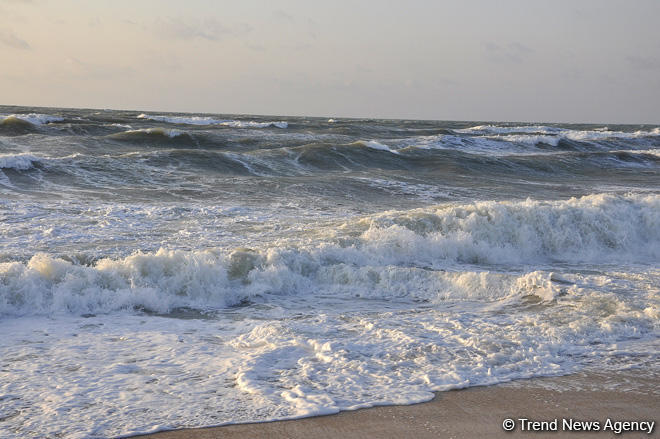 Turkmen Academy of Sciences conducting environmental monitoring of Caspian Sea