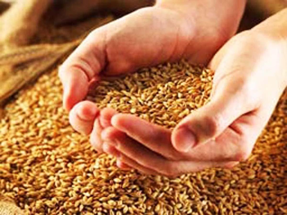 Azerbaijan may become major grain hub