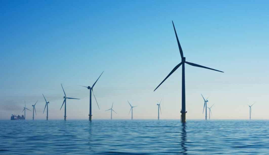 International Ocean Renewable Energy Action Coalition set up