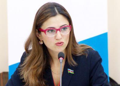Azerbaijani MP says 2019 marked by development, progress