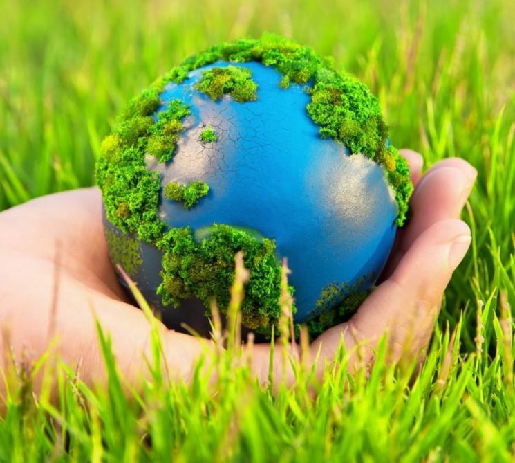 Expert: Azerbaijan implementing environmental programs at state level