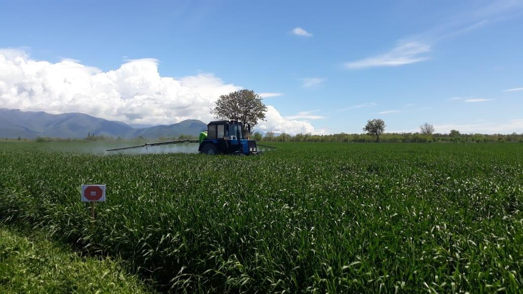 Azerbaijan unveils amount of loans issues to farmers