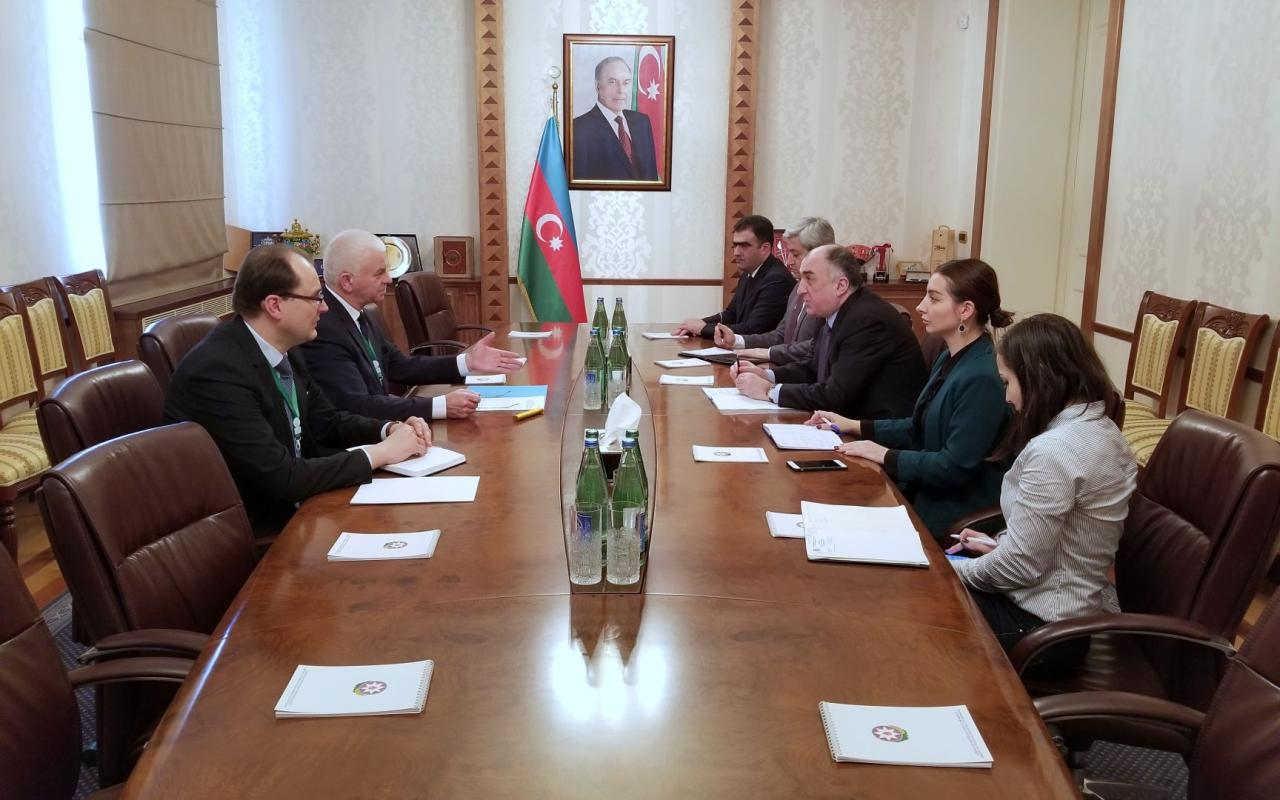 Azerbaijani FM meets with head of CIS observation mission