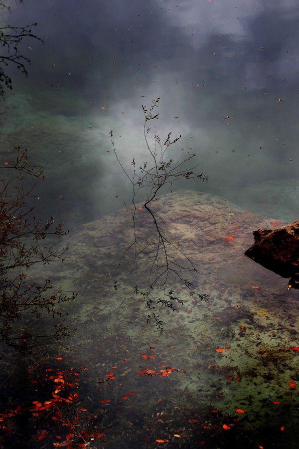 Slider Image 1