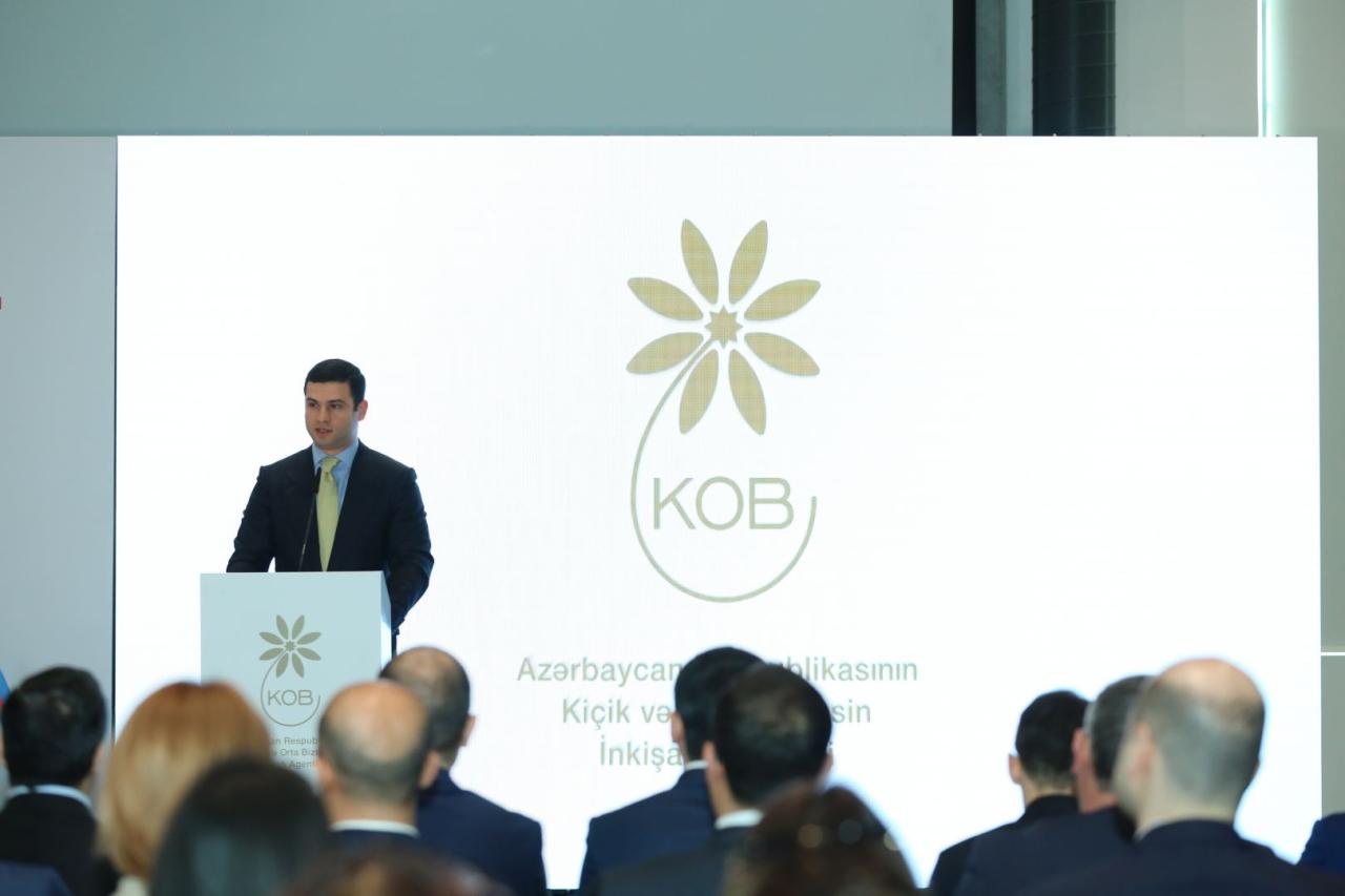 Azerbaijan's potential for entrepreneurship in culture & art sector highlighted