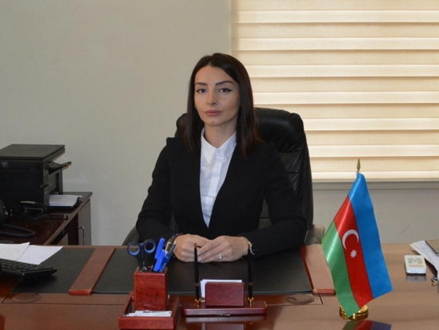 MFA: Armenia responsible for Azerbaijani border guards' deaths