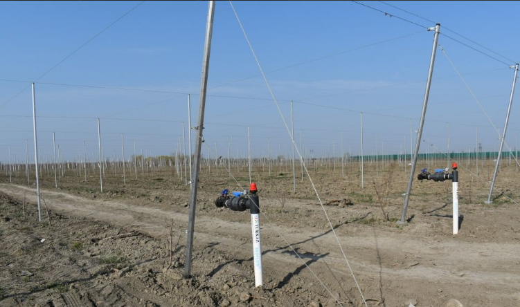 Solar panels, coating systems installed in northern Azerbaijan [PHOTO] - Gallery Image