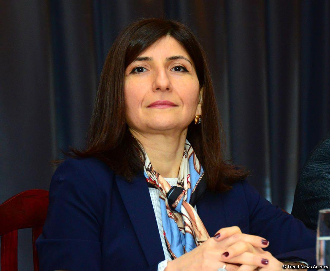 Sevil Mikayilova: Azerbaijani state demonstrates new example of social care for citizens