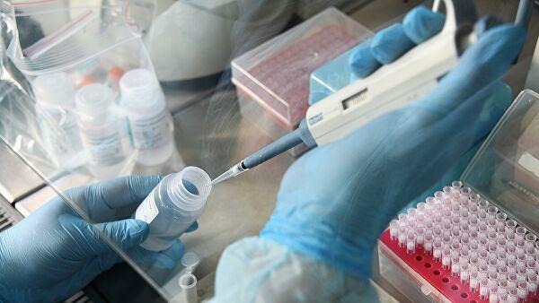 Azerbaijan among world leaders in number of coronavirus tests