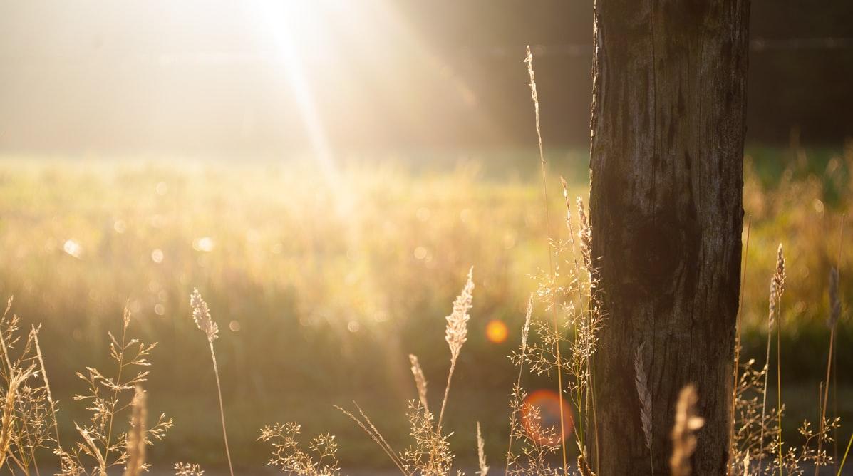Weather to heat up in regions