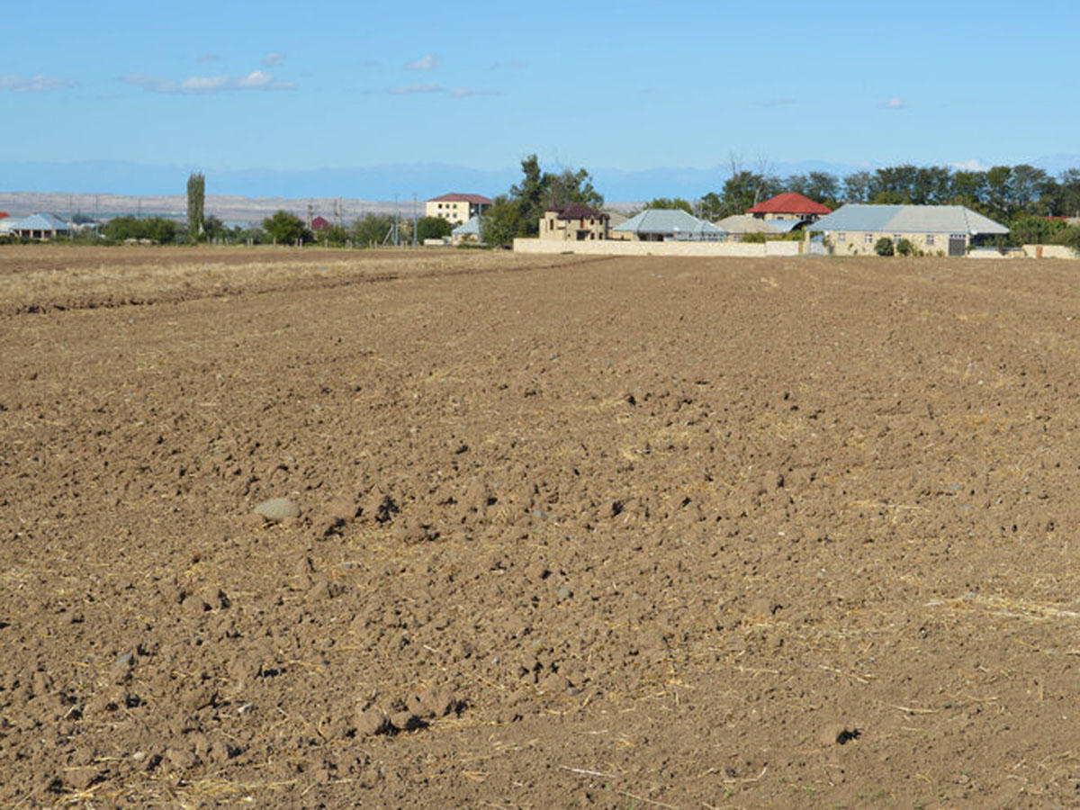 Prices for land plots, retail facilities decline in Baku