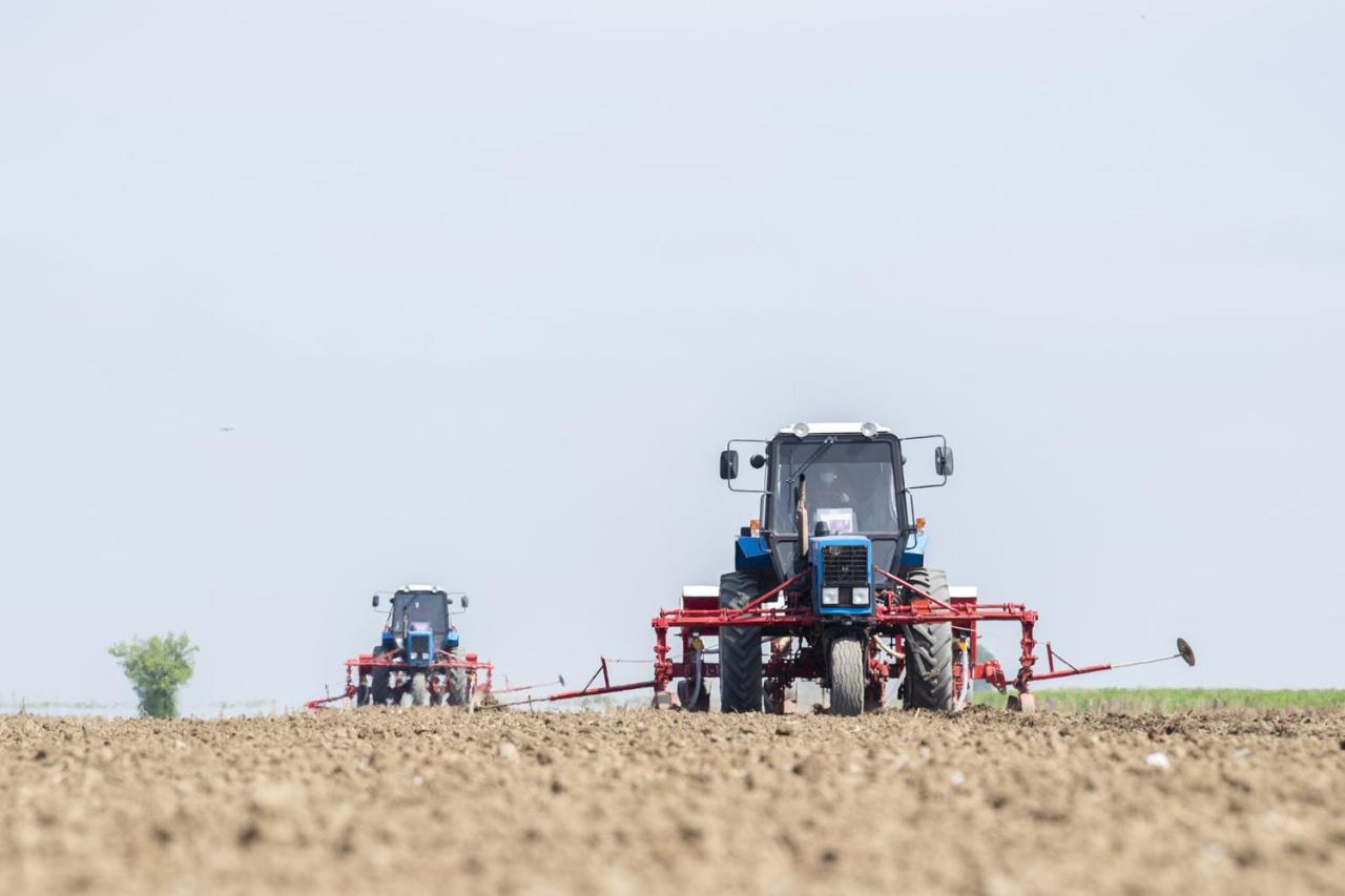 Cotton-growing regions of Azerbaijan start sowing