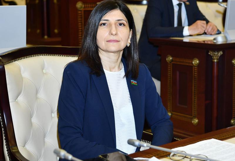 MP Sevil Mikayilova hails Azerbaijani Ombudsman’s annual report