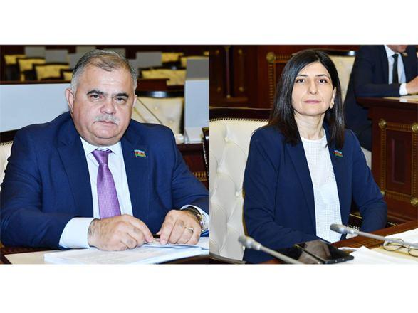 Trend News Agency director general's deputies appointed heads of Inter-Parliamentary Working Groups