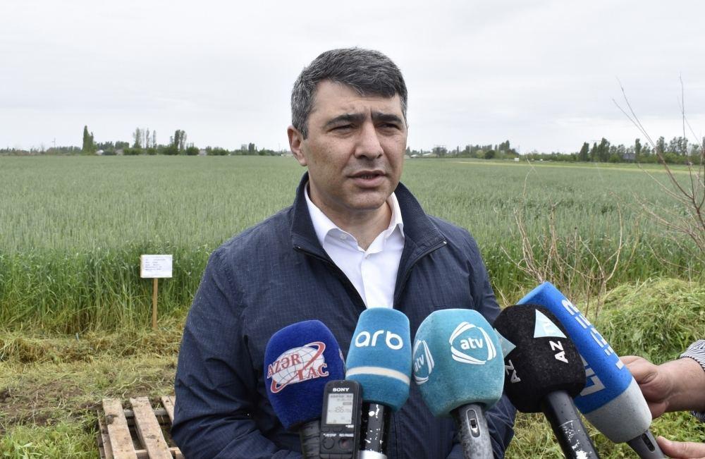 Minister: No problems in transportation of food products in Azerbaijan [UPDATE]
