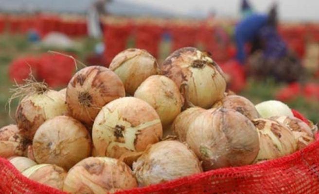 Azerbaijan exports onion to Arab countries