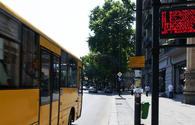 Public transport service may be resumed in Tbilisi in June