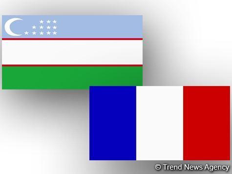 Uzbekistan seeks to learn French experience in fight against COVID-19