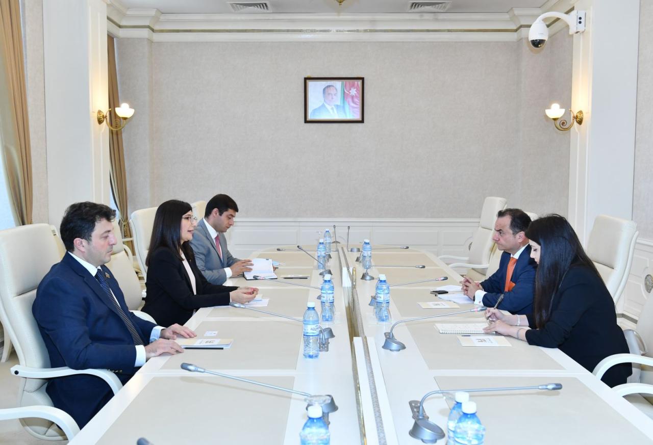 Spanish embassy official, Azerbaijani MPs mull ties, Karbakh conflict [PHOTO]