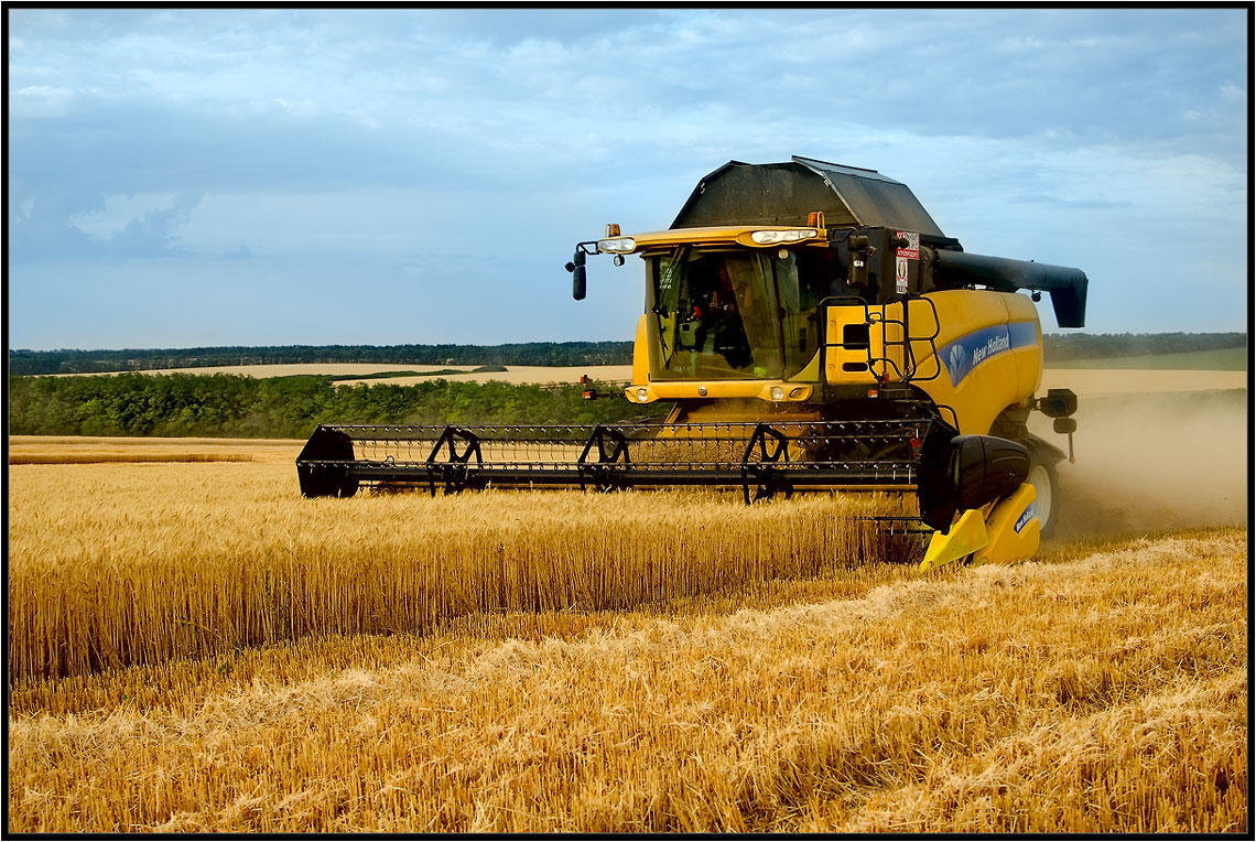 Azerbaijan unveils data on harvesting of cereals as of June 18