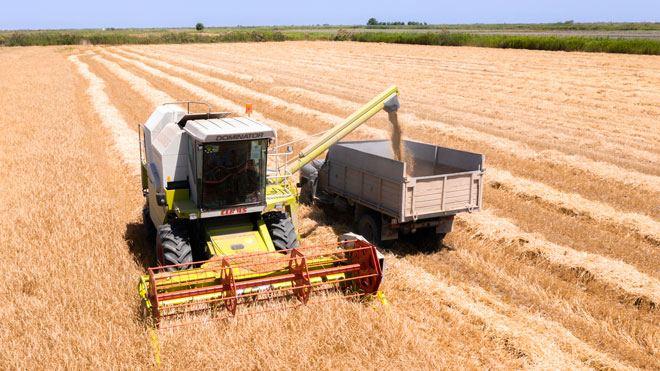 Azerbaijan reveals data on latest grain harvesting