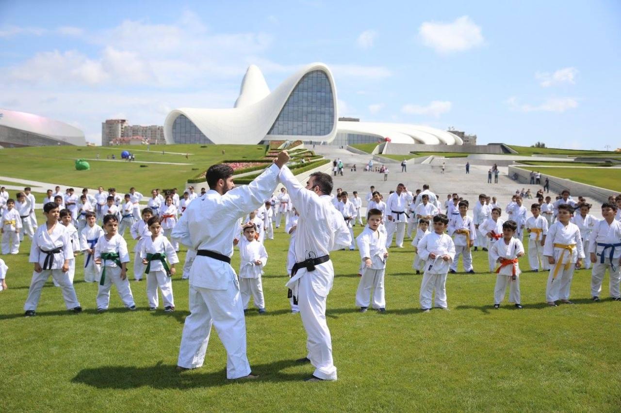 Famous karate fighter may open martial arts school