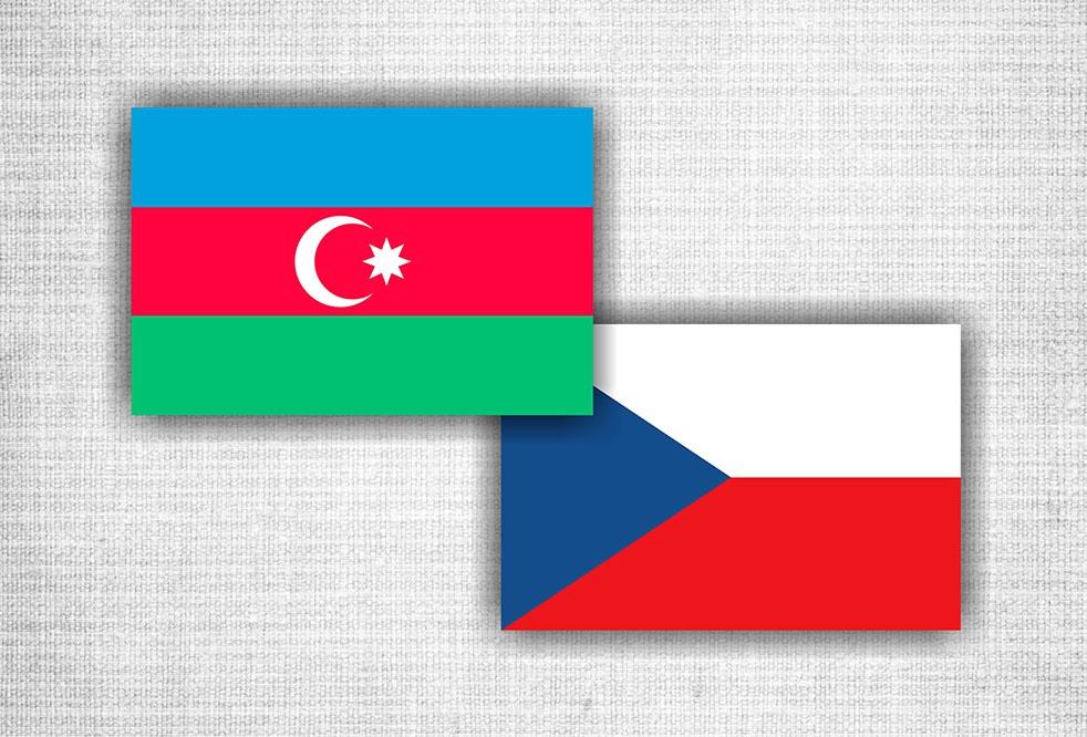 Azerbaijan, Czech Republic mull Nagorno-Karabakh conflict, COVID-19