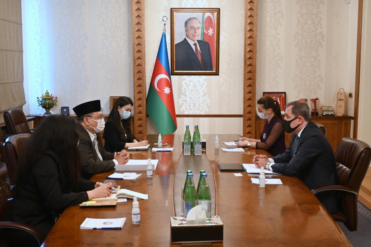 FM thanks Indonesia for firm support for Azerbaijan's territorial integrity [PHOTO]