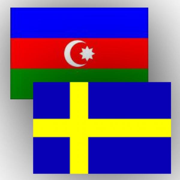 Coordinator of Council of Azerbaijanis in Sweden makes statement