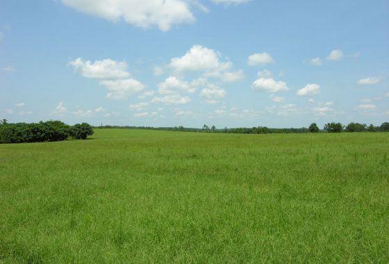 Over 30,000 land plots registered in Georgia