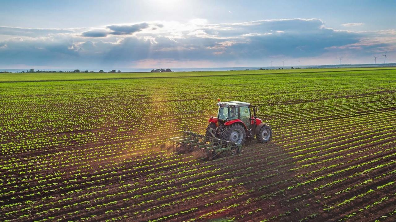 Azerbaijan's agricultural enterprises increase revenues