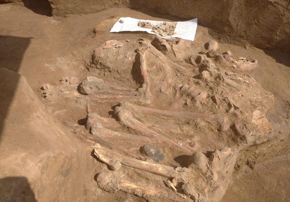Neolithic settlement found in Fizuli [PHOTO]