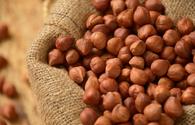 Azerbaijan's forest nuts export hit $54.4m in 1H2020
