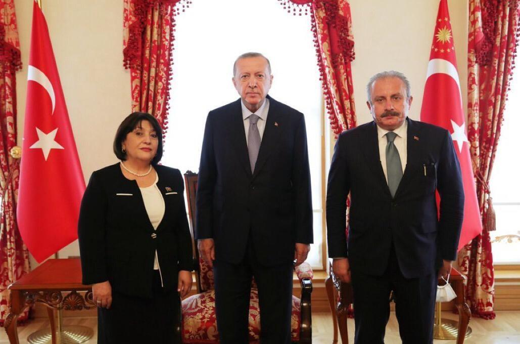 Sahiba Gafarova meets with Turkish President [PHOTO]