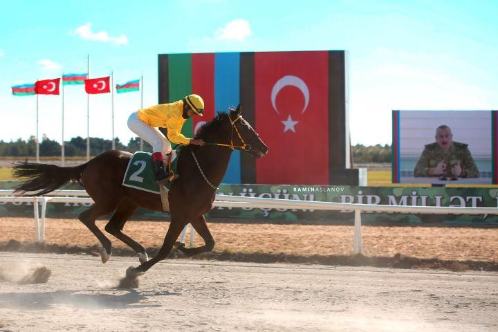 Country's best jockeys awarded in Baku [PHOTO/VIDEO]