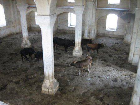 Culture Ministry: Using mosque in Azerbaijan's Zangilan as pigpen is insult to Muslims