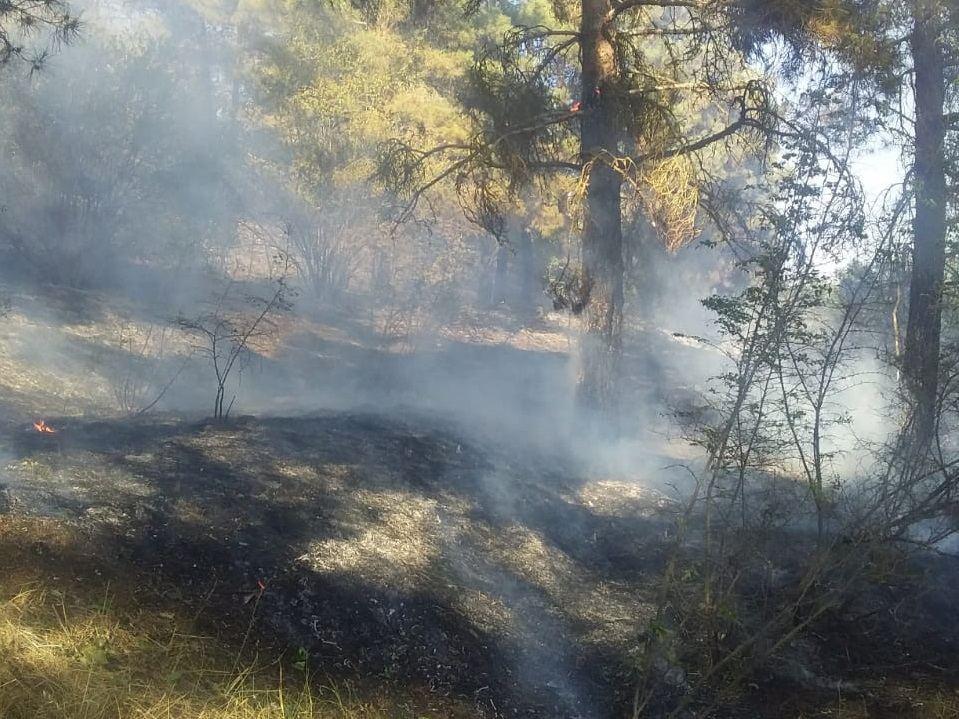 Fire brigade extinguishes fire in Azerbaijan’s Goranboy due to Armenian Armed Forces’ artillery strikes