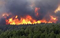Azerbaijani Ecology Ministry: Armenia burning forests in Shusha - crime against humanity
