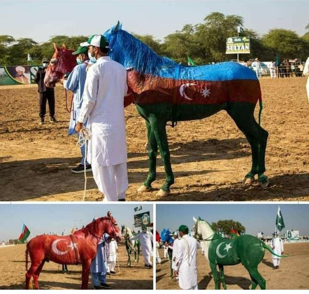 Pakistan shows solidarity with Azerbaijan [PHOTO/VIDEO]