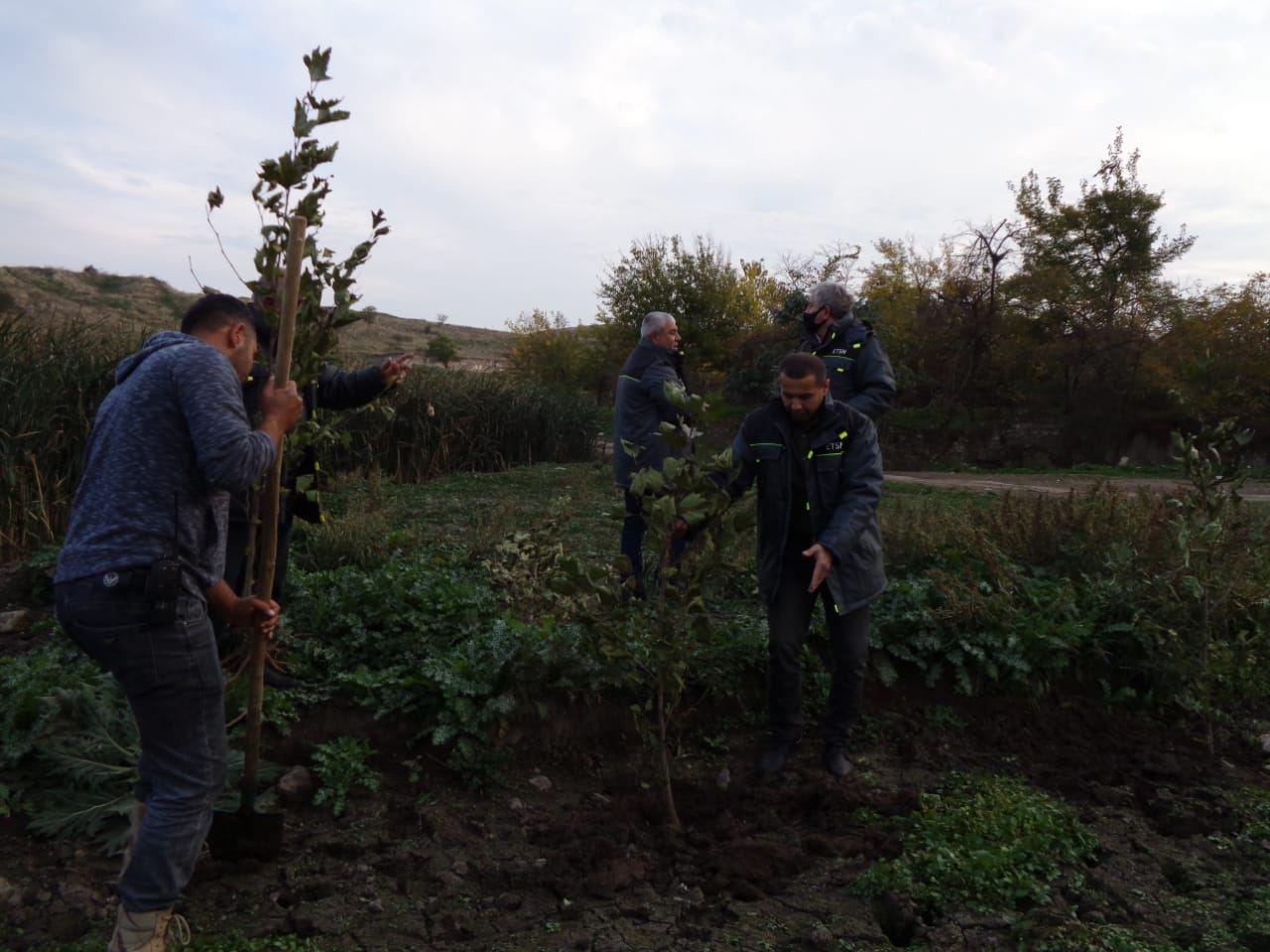 New trees planted in liberated Gargabazar village of Fuzuli [PHOTO]
