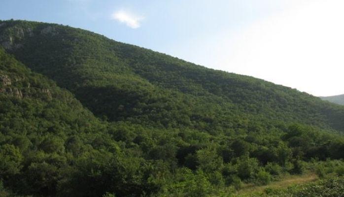 Azerbaijan strongly condemns environmental terror by Armenians in Kalbajar