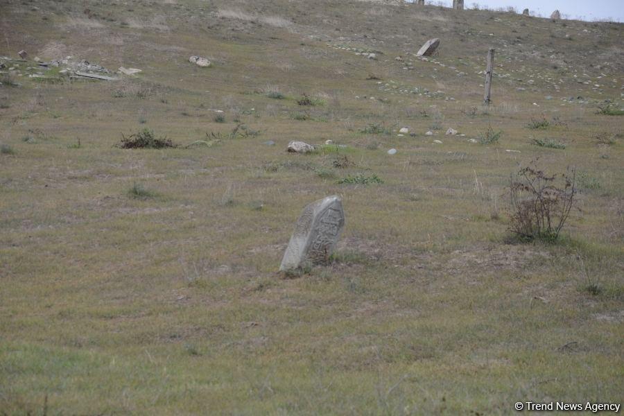 Slider Image 1