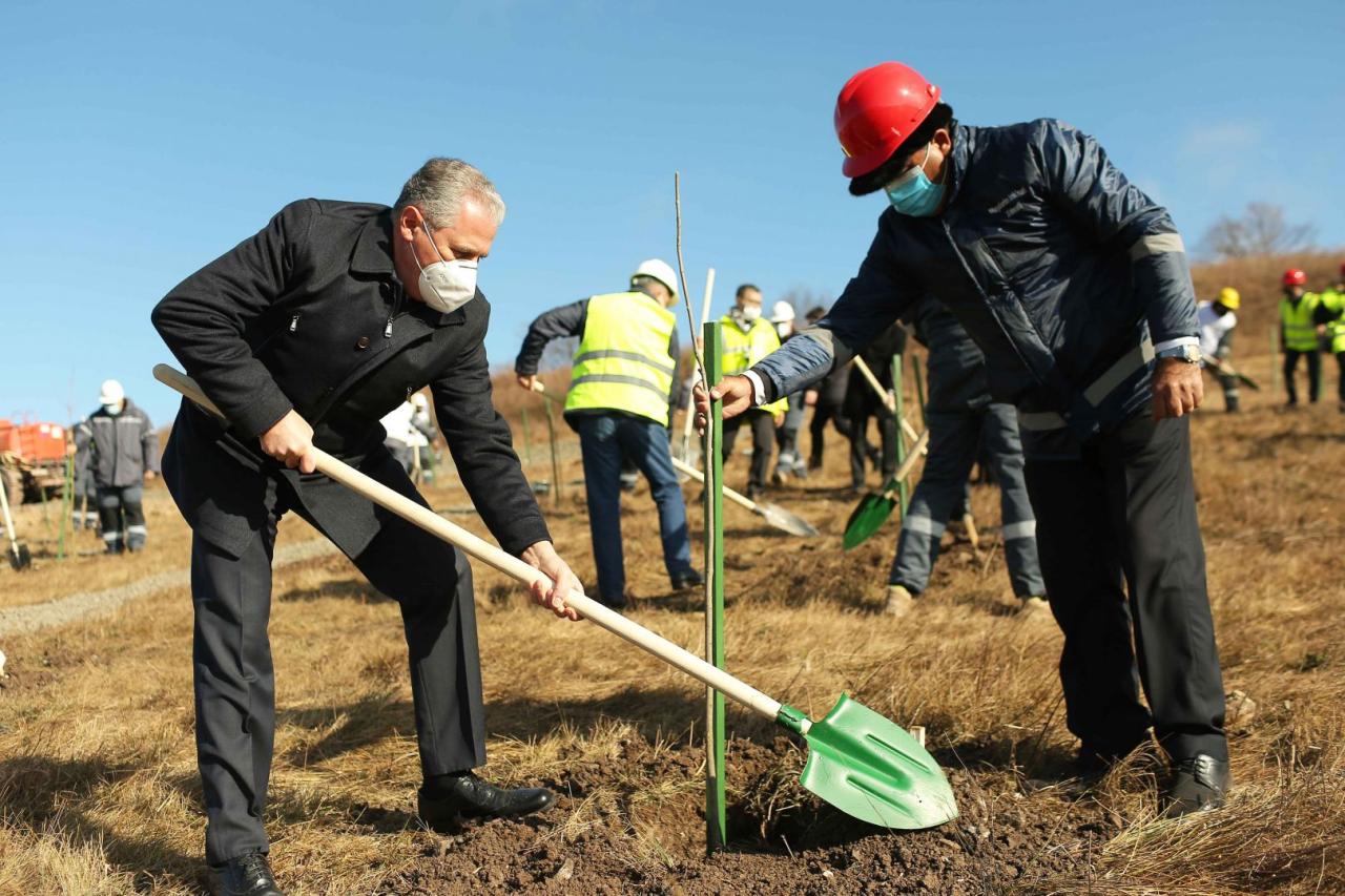 Azerbaijani ministries, AzerGold company hold landscaping campaign on Chovdar field [PHOTO]