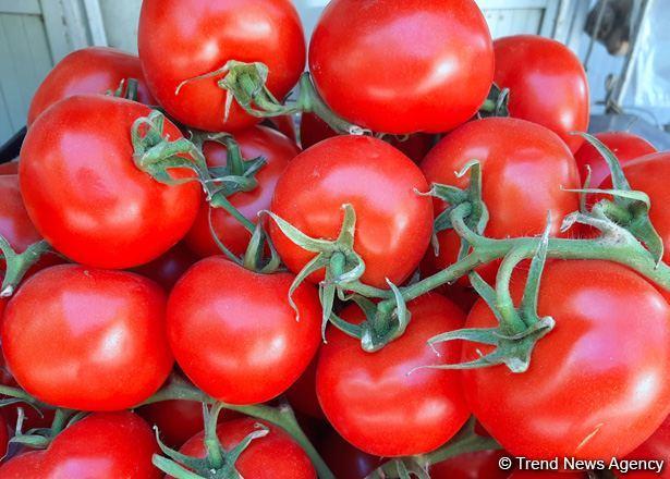 Kazakhstan bans import of Azerbaijani tomatoes