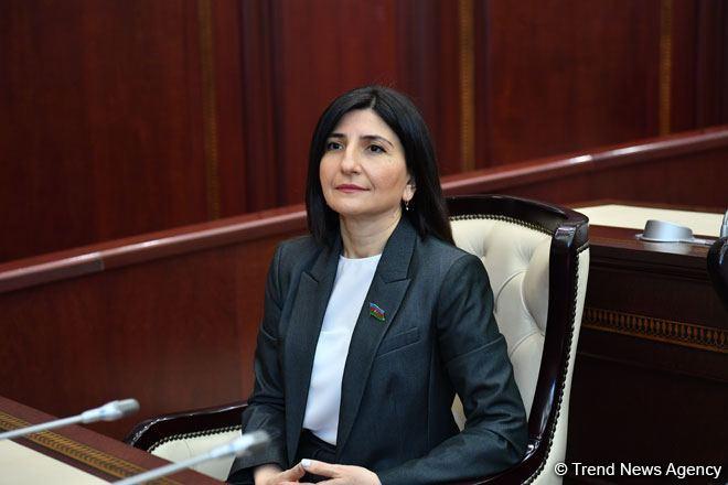 Azerbaijani MP Sevil Mikayilova talks Turkey's support of Azerbaijan in interview with Anadolu News Agency [PHOTO]