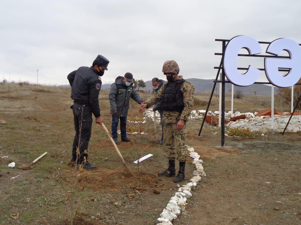 Oriental plants planted in Azerbaijan's liberated Jabrayil city [PHOTO]