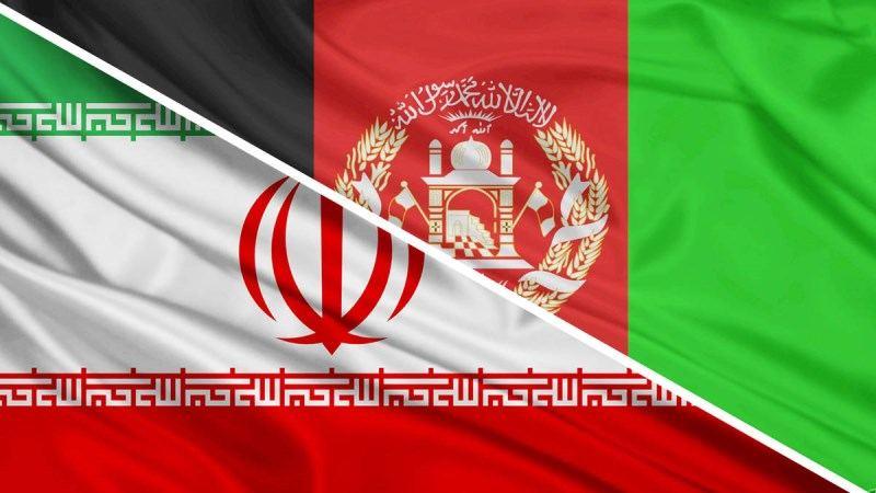 Iran-Afghan coexistence presents new model of immigration: Official